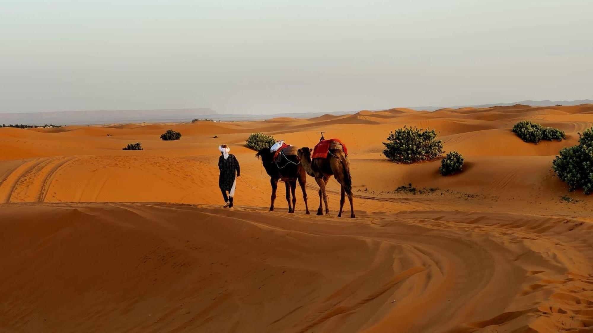 Camp Familia Erg Chebbi Merzouga Exterior foto